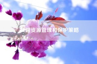 战略资源管理和保护策略