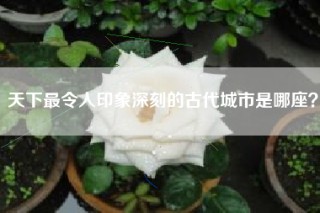 天下最令人印象深刻的古代城市是哪座？