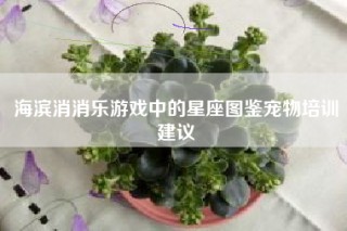 海滨消消乐游戏中的星座图鉴宠物培训建议