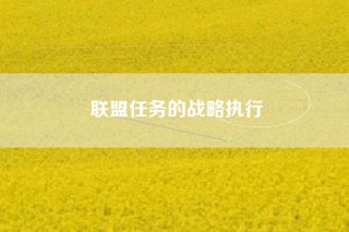 联盟任务的战略执行