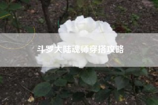 斗罗大陆魂师穿搭攻略