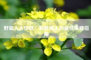 野蛮人大作战：制胜敌人的最佳策略指南