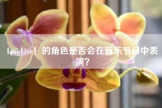 LoveLive！的角色是否会在音乐节目中表演？