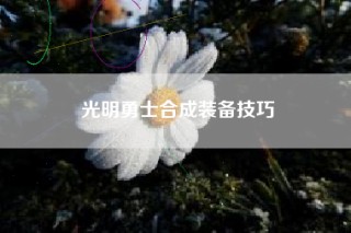 光明勇士合成装备技巧