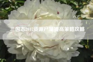 三国志2017资源产量提高策略攻略