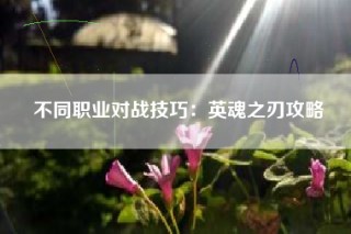 不同职业对战技巧：英魂之刃攻略