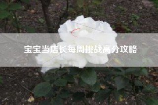 宝宝当店长每周挑战高分攻略