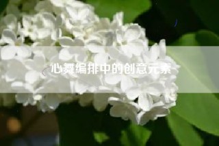 心舞编排中的创意元素
