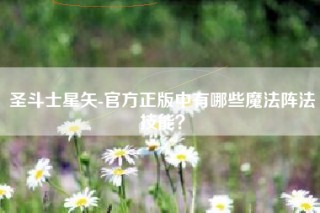 圣斗士星矢-官方正版中有哪些魔法阵法技能？