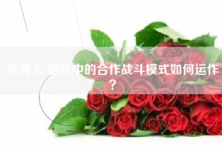 航海王-启航中的合作战斗模式如何运作？
