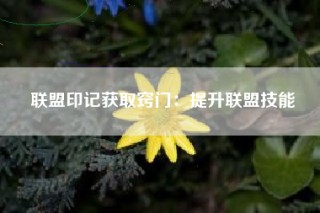 联盟印记获取窍门：提升联盟技能