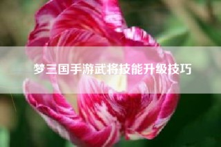 梦三国手游武将技能升级技巧