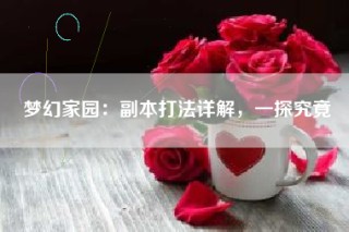 梦幻家园：副本打法详解，一探究竟