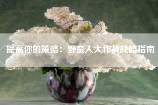 提高你的策略：野蛮人大作战战略指南