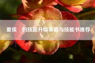 夏侯惇的技能升级策略与技能书推荐