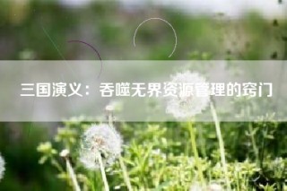 三国演义：吞噬无界资源管理的窍门