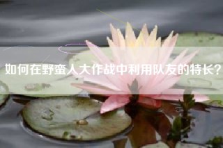 如何在野蛮人大作战中利用队友的特长？