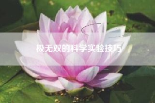 极无双的科学实验技巧