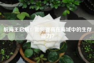 航海王启航：如何提高在海域中的生存能力？