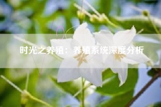 时光之养殖：养殖系统深度分析
