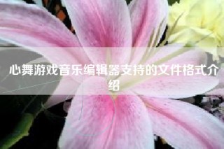 心舞游戏音乐编辑器支持的文件格式介绍