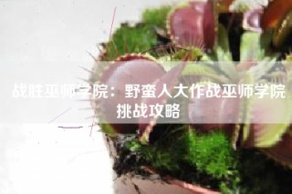 战胜巫师学院：野蛮人大作战巫师学院挑战攻略