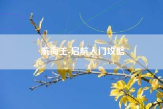 航海王-启航入门攻略