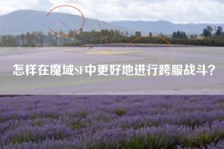 怎样在魔域SF中更好地进行跨服战斗？