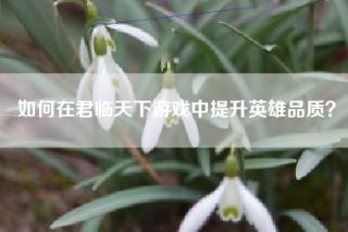 如何在君临天下游戏中提升英雄品质？