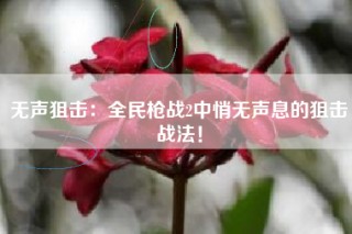 无声狙击：全民枪战2中悄无声息的狙击战法！