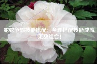 蛇蛇争霸技能搭配：合理搭配技能成就无敌组合！