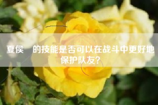 夏侯惇的技能是否可以在战斗中更好地保护队友？