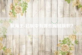 航海王-启航中有哪些海贼旗帜？