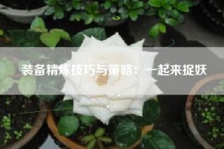 装备精炼技巧与策略：一起来捉妖