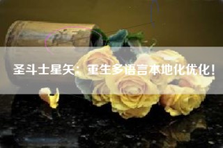 圣斗士星矢：重生多语言本地化优化！