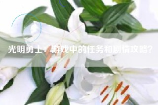 光明勇士：游戏中的任务和剧情攻略？