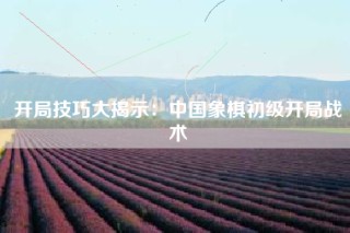 开局技巧大揭示：中国象棋初级开局战术