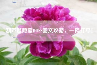 葫芦娃隐藏BOSS图文攻略，一网打尽！
