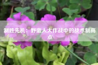 制胜先机：野蛮人大作战中的战术制高点