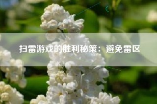 扫雷游戏的胜利秘策：避免雷区