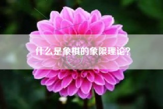 什么是象棋的象限理论？