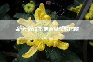 命运-冠位指定道具获取指南