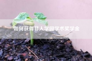 如何获得非人学园学术奖学金