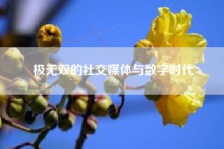 极无双的社交媒体与数字时代
