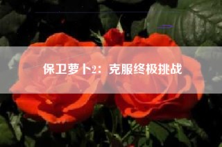保卫萝卜2：克服终极挑战
