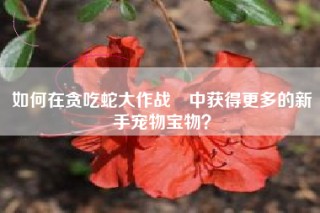 如何在贪吃蛇大作战®中获得更多的新手宠物宝物？