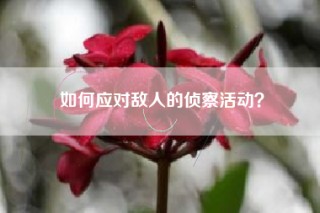 如何应对敌人的侦察活动？