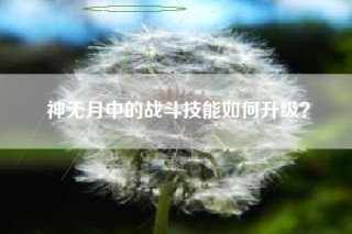 神无月中的战斗技能如何升级？