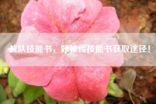 战队技能书，妖神传技能书获取途径！