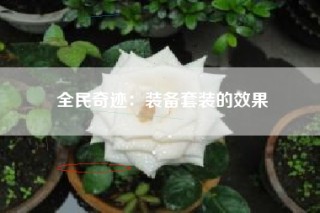 全民奇迹：装备套装的效果